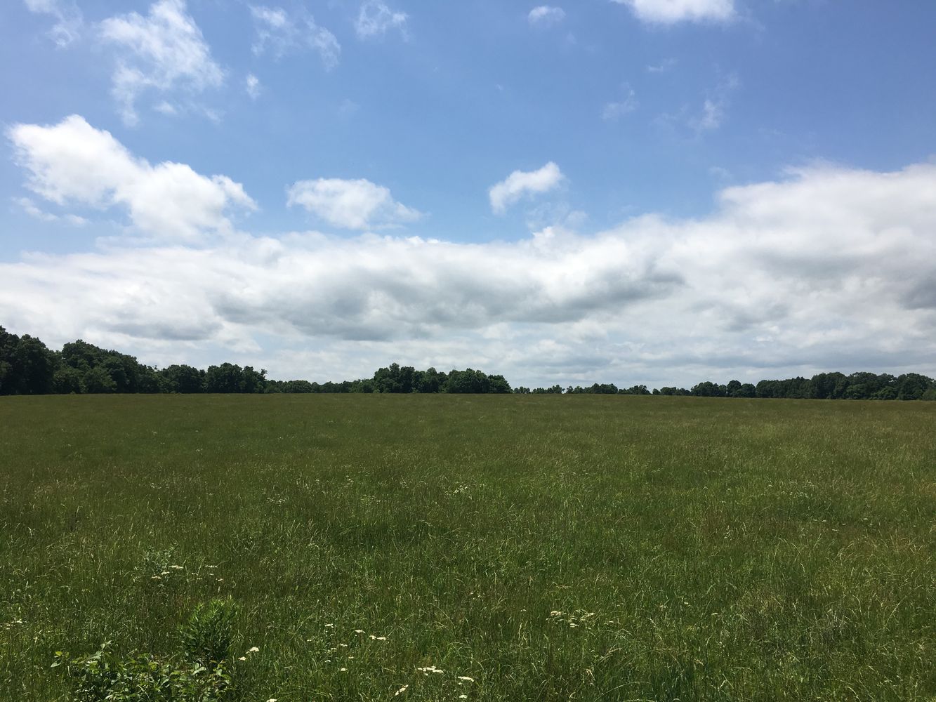 4897 & 4878 Norman Drive, Hartville, MO 65667